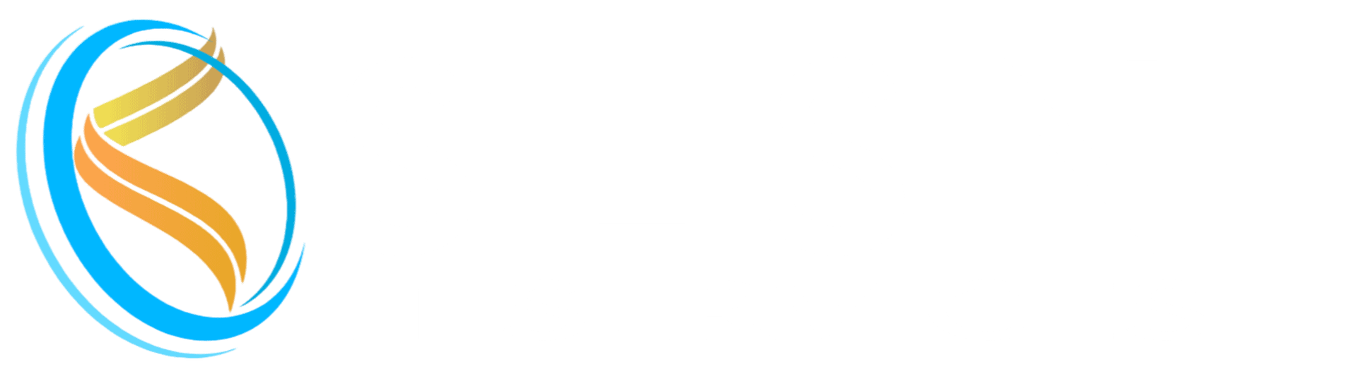 SLSN IT SERVICES